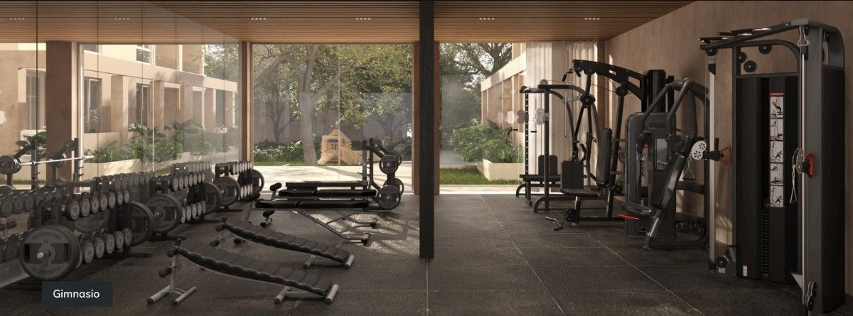 Gimnasio